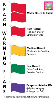 Beach-Warning-Flags