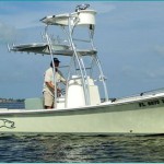 Dolphin Dream Charters