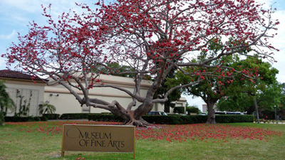 Museum of Fine Arts