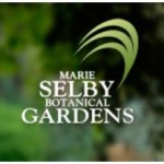 Marie Selby Botanical Garden