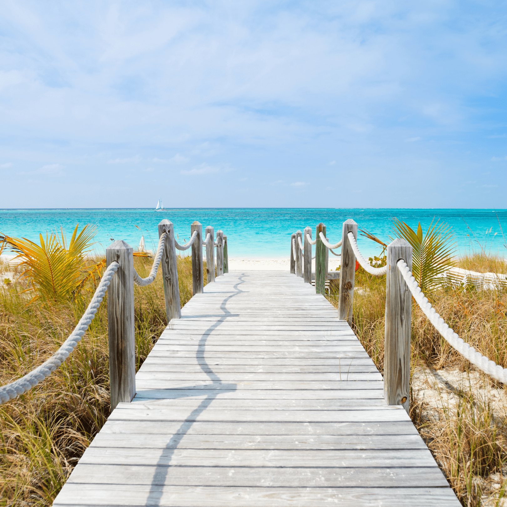 long wooden dock walkway lined with pillars with large rope as handrails leading to the beach off the coast of the Gulf of Mexico