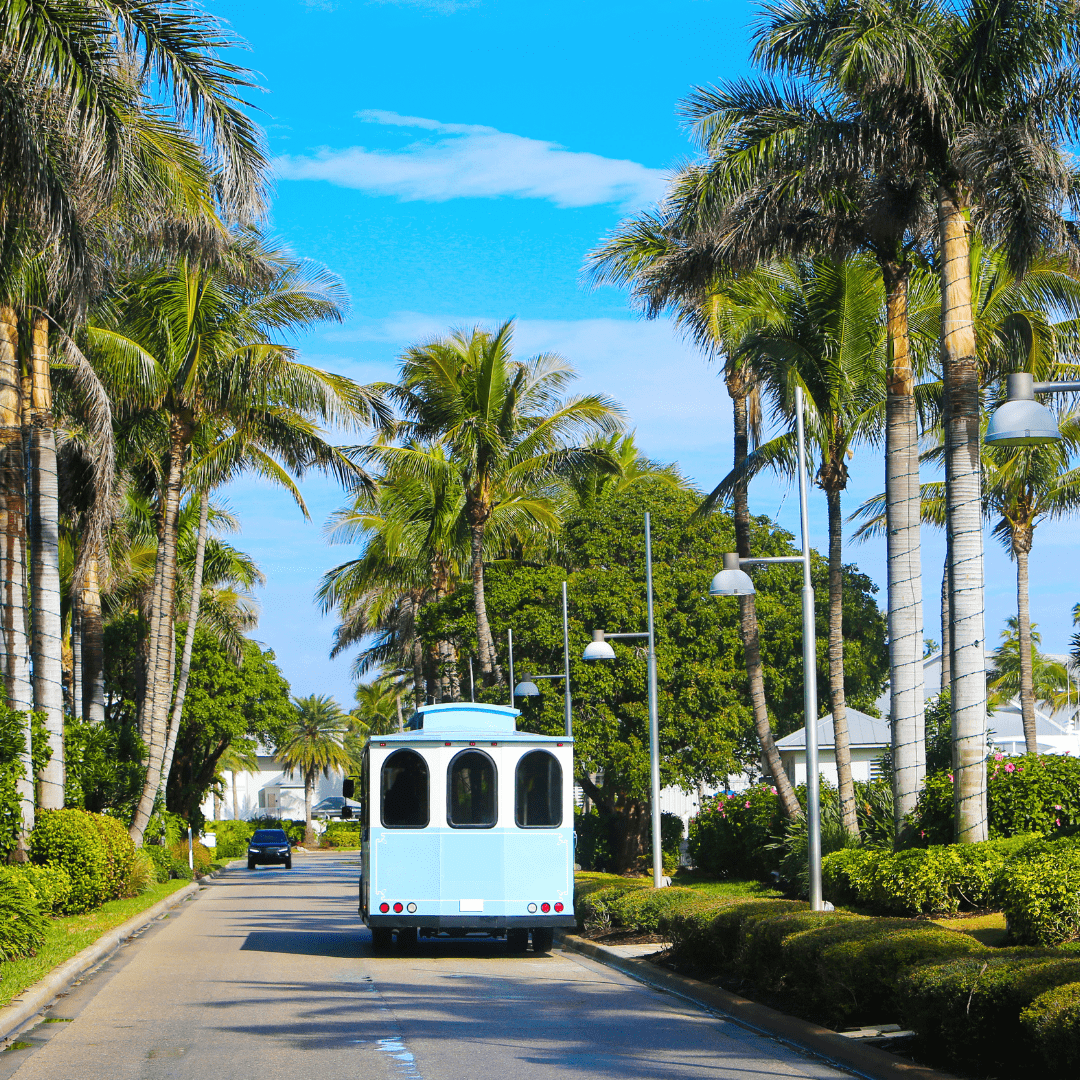 Blue trolley driving down a street lined with palm trees.