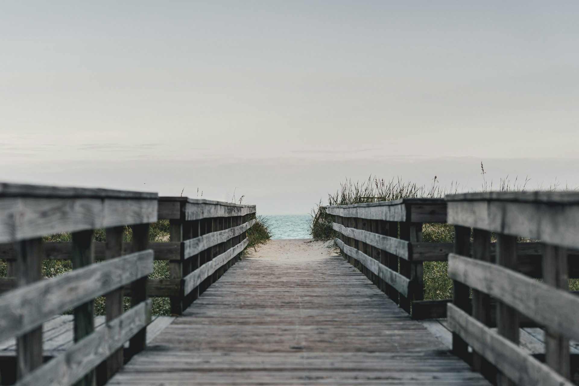 Leffis Key Preserve