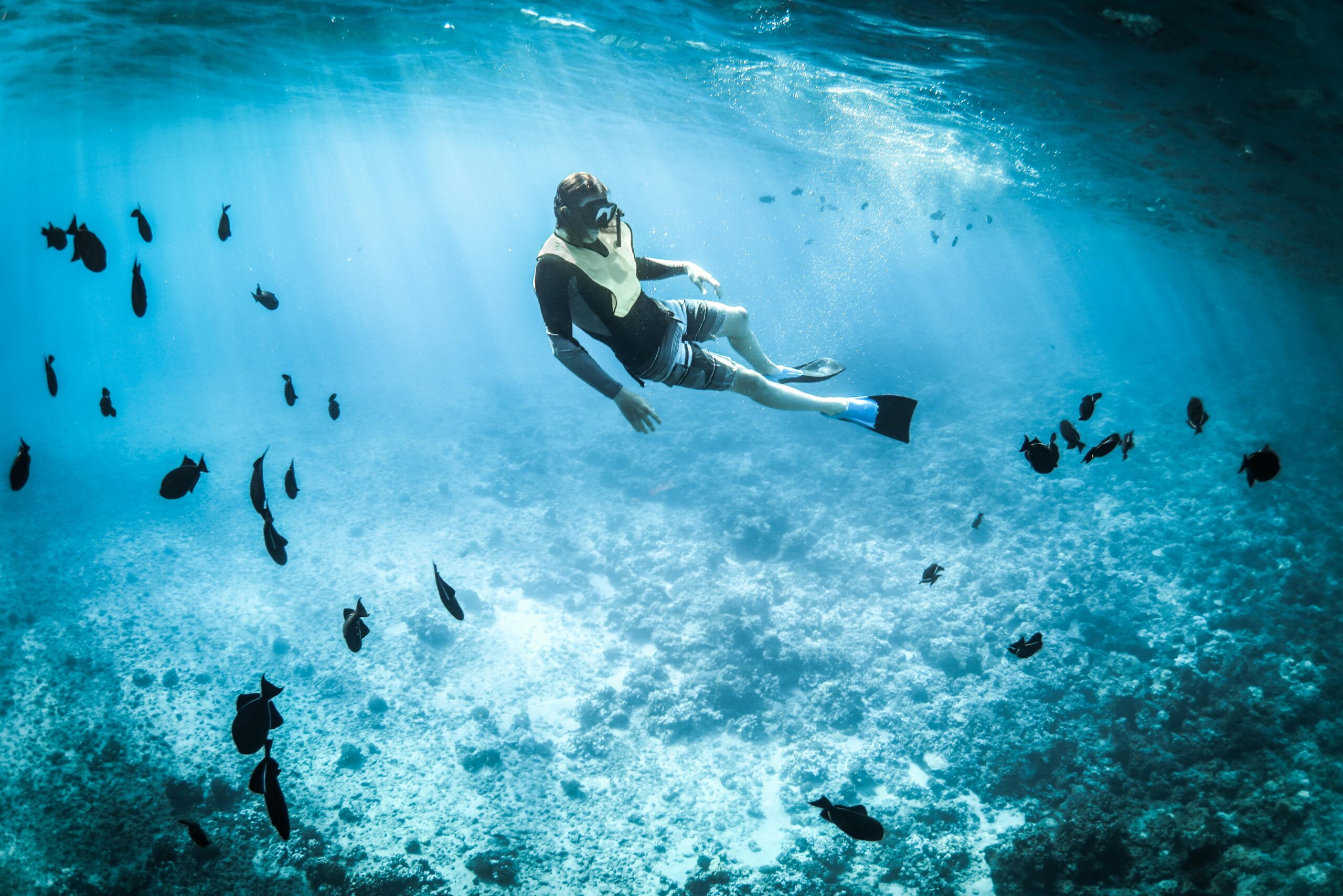 Summer Vacation on Anna Maria Island - Snorkeling