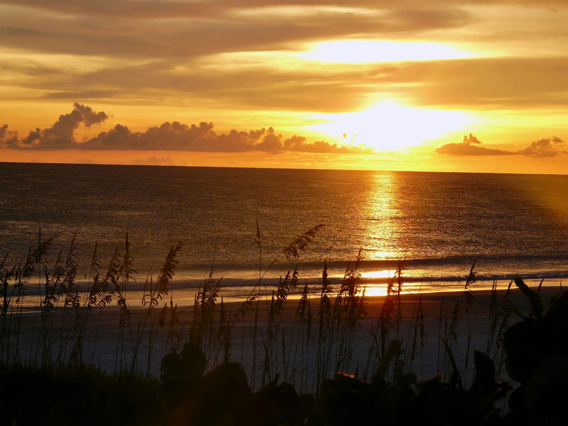 Anna Maria Island Weather