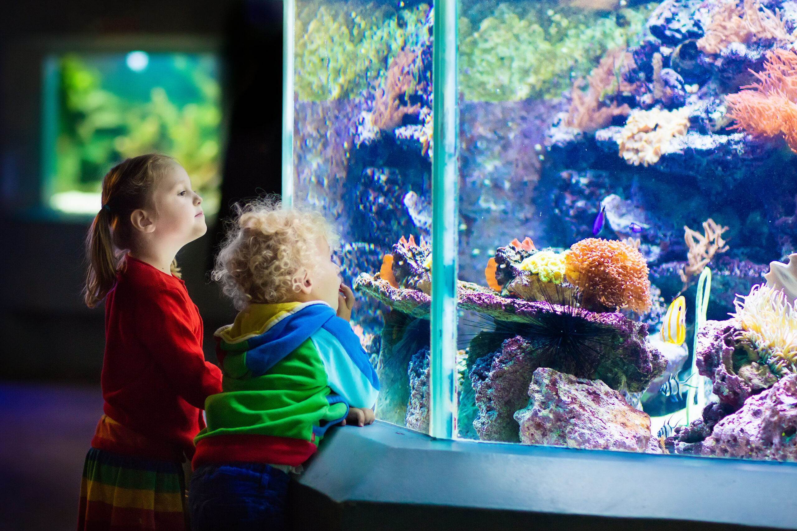 Kids watching fish in tropical aquarium